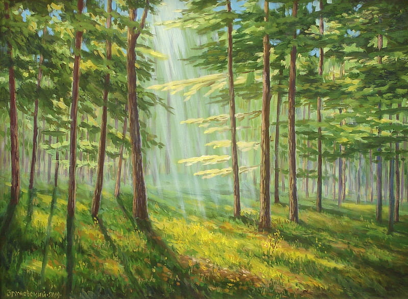 Beech forest painting, forest, sunrays, painting, summer, spring, Beech, HD wallpaper