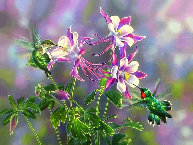 Belleza en movimiento, cuadros, colibríes, pájaros, flores, amor cuatro  estaciones, Fondo de pantalla HD | Peakpx