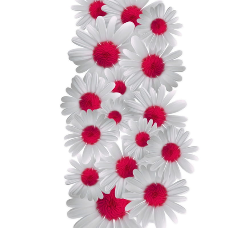 Daisy, flower, may art, red, theme, white, HD phone wallpaper