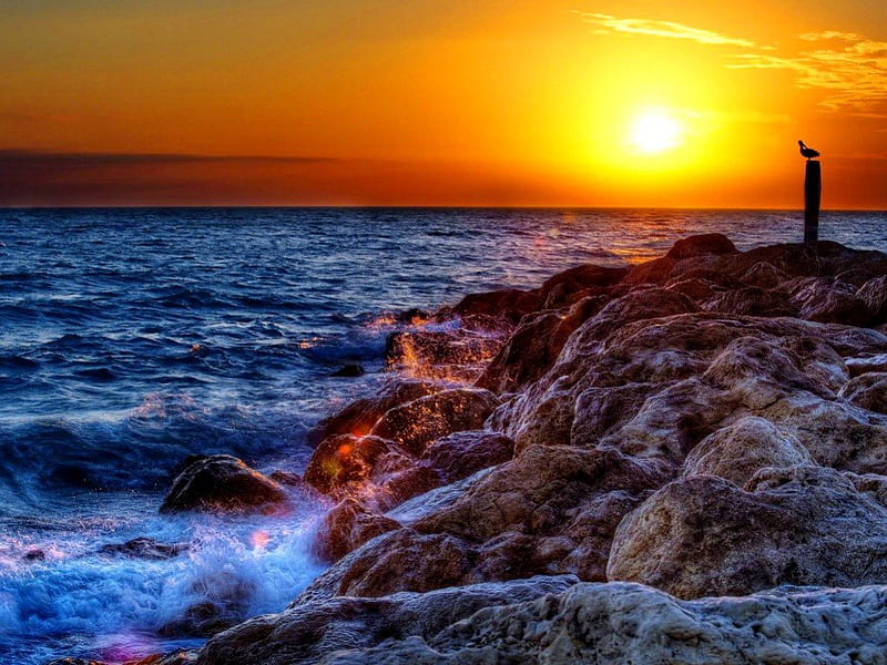 Seascape, rocks, pretty, glow, shore, sun, orange, bonito, sunset, sea, beach, sundown, nice, stones, sunrise, reflection, ocean, golden, waves, lvoely, water, rays, summer, nature, coast, HD wallpaper