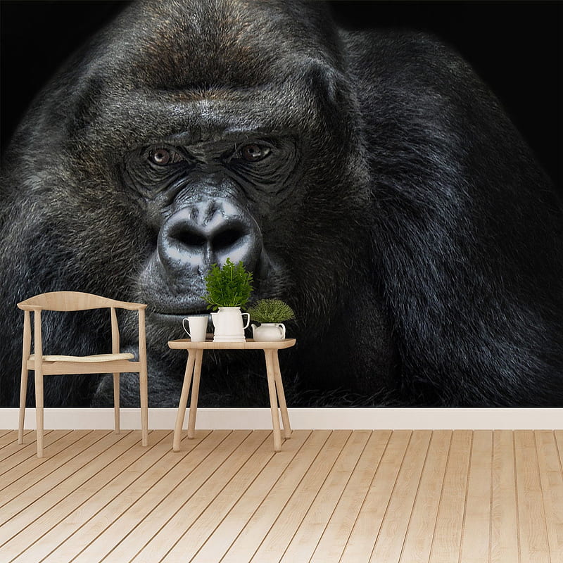 Gorilla Ape Vlies Or Self Adhesive Mural Etsy, Gorrilla, HD phone wallpaper