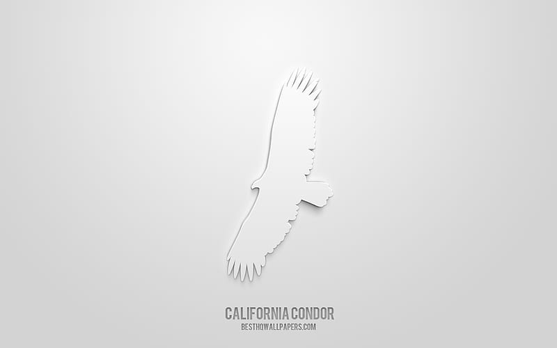 California condor 3d icon, white background, 3d symbols, California condor, creative 3d art, 3d icons, California condor sign, Birds 3d icons, HD wallpaper