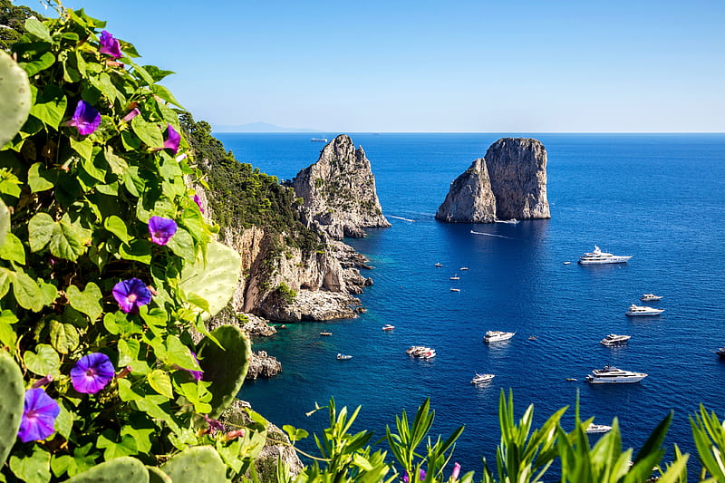 Capri, rocks, lovely, view, bonito, sky, sea, boats, flowers, horizons, island, coast, HD wallpaper
