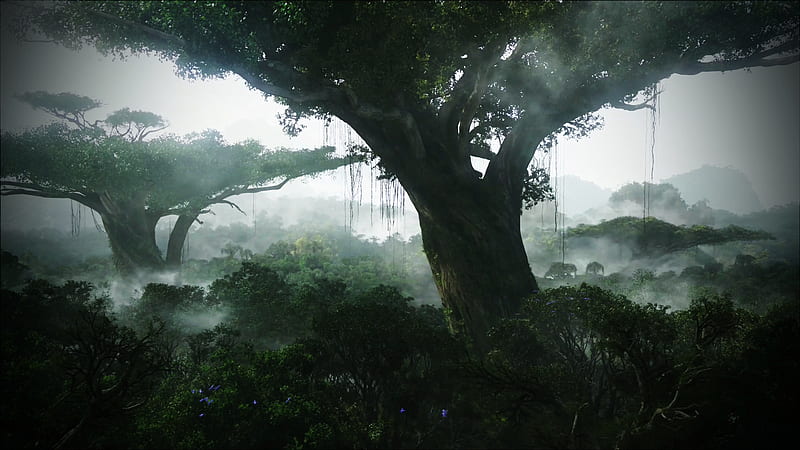 Pandora Forest, pretty, wonderful, movie, film, woods, bonito, avatar, bushes, morning dew, fog, nice, outstanding, james cameron, amazing, mystical, hills, fantastic, pandora, trees, tree, planet, awesome, hometree, woodland, HD wallpaper
