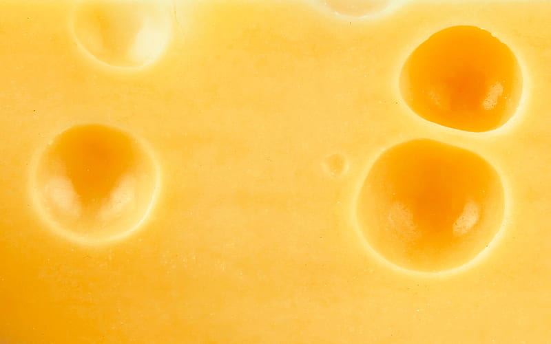 cheese texture, macro, food textures, cheese backgrounds, yellow backgrounds, cheese, HD wallpaper