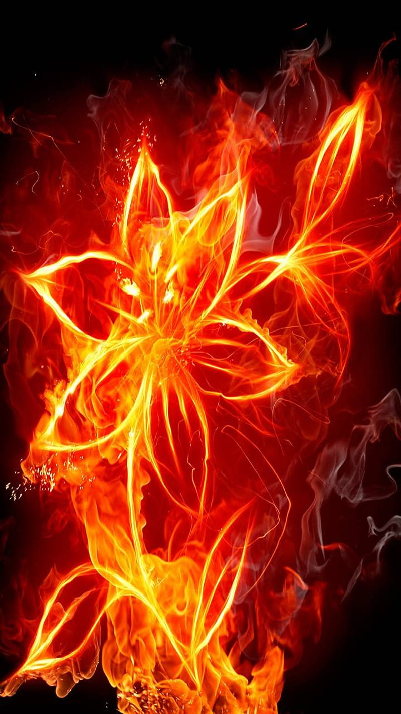 Fire flower, flower drawing, made of fire, HD phone wallpaper