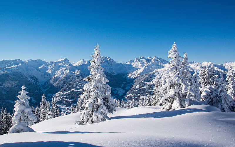 mountain landscape, winter, snow, mountains, blue sky, forest, HD wallpaper