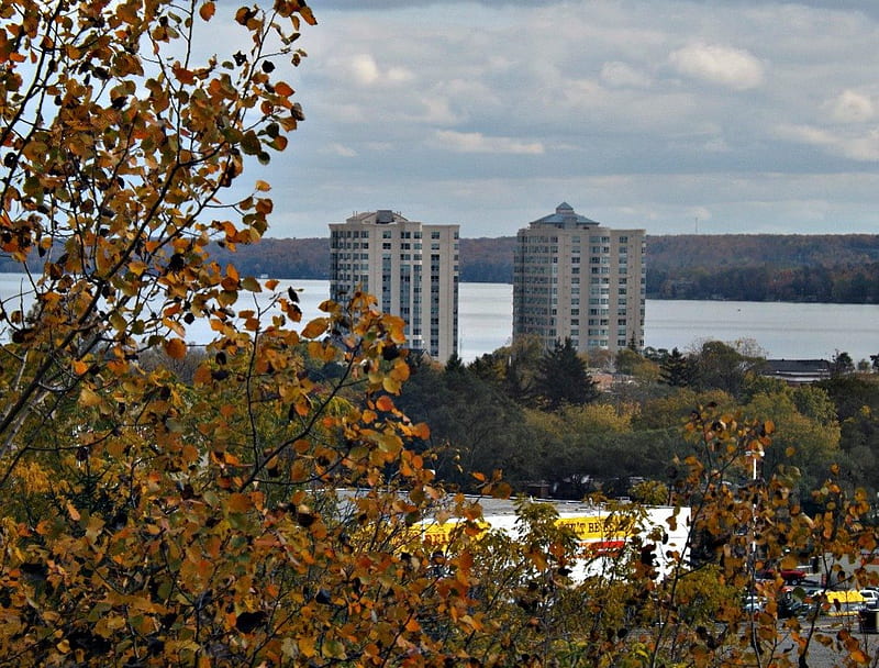 Barrie's Condo's, leaves, water, condos, buildings, trees, HD wallpaper