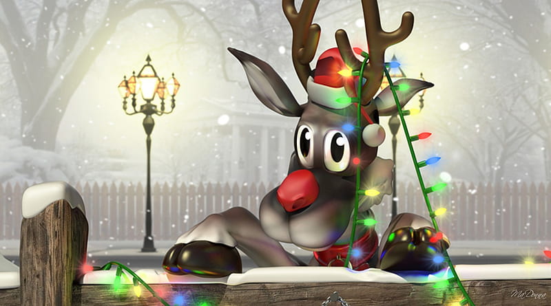 Rudolph Christmas Lights, Christmas, lamp, Feliz Navidad, Santa, Rudolph, lights, frustrated, whimsical, snow, tangled, reindeer, HD wallpaper