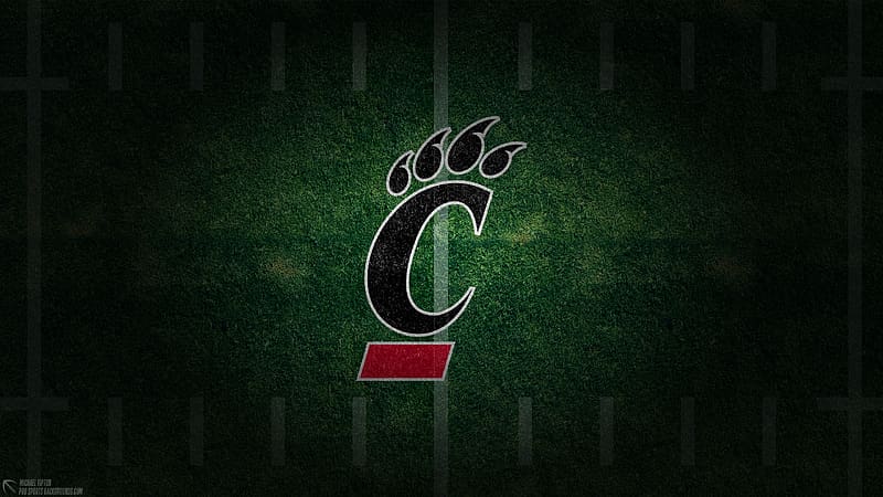 Cincinnati Bearcats, bearcats, cincinnati, american football, HD wallpaper
