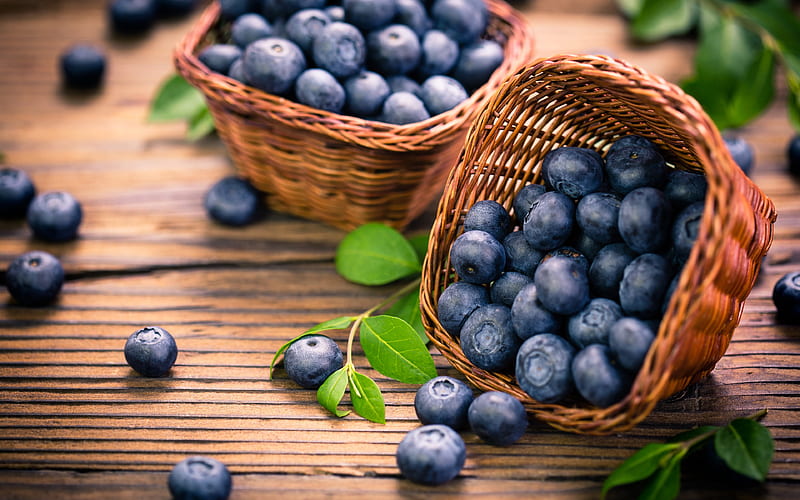 blueberries in baskets bilberry, blueberry, berries, macro, fresh fruits, blueberries, fruits, HD wallpaper