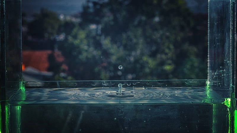 Water Drops, tank, water, wet, drops, blue, HD wallpaper