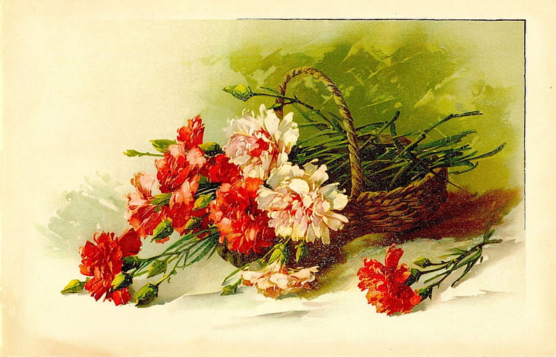 Carnations, red, art, postcard, retro, green, painting, flower, white, vintage, HD wallpaper