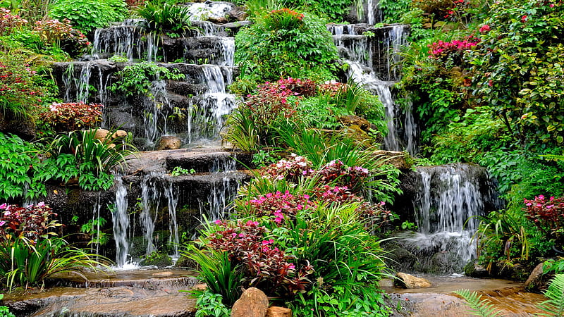 Beautiful Garden With Waterfalls And Flowers Plants And Trees Nature, HD wallpaper