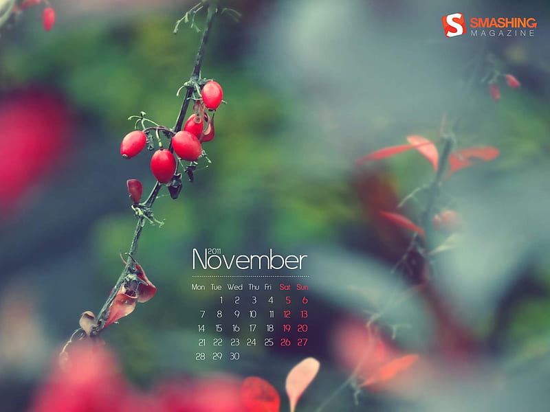Autumn Impression-November 2011-Calendar, HD wallpaper