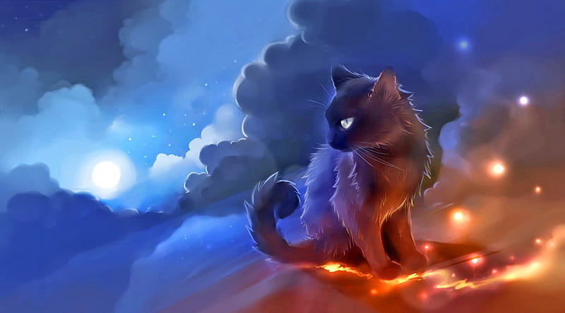 Moonlight, fantasy, magic, moon, kitten, HD wallpaper | Peakpx