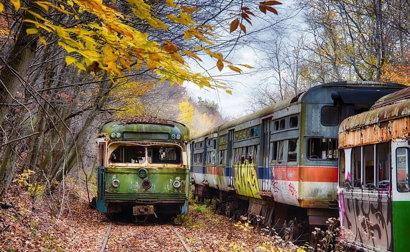 trolley-graveyard, trolley, graveyard, nature, train, HD wallpaper