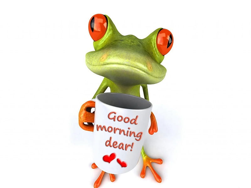 Good morning!, orange, card, cute, frog, green, cup, funny, morning, white, HD wallpaper