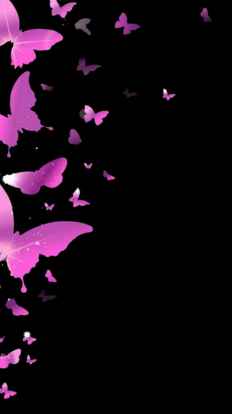 Purple butterfly, black, nature, white, HD phone wallpaper | Peakpx