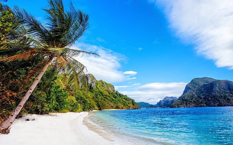 Beach, Philippines, islands, palm trees, sand, ocean, HD wallpaper | Peakpx