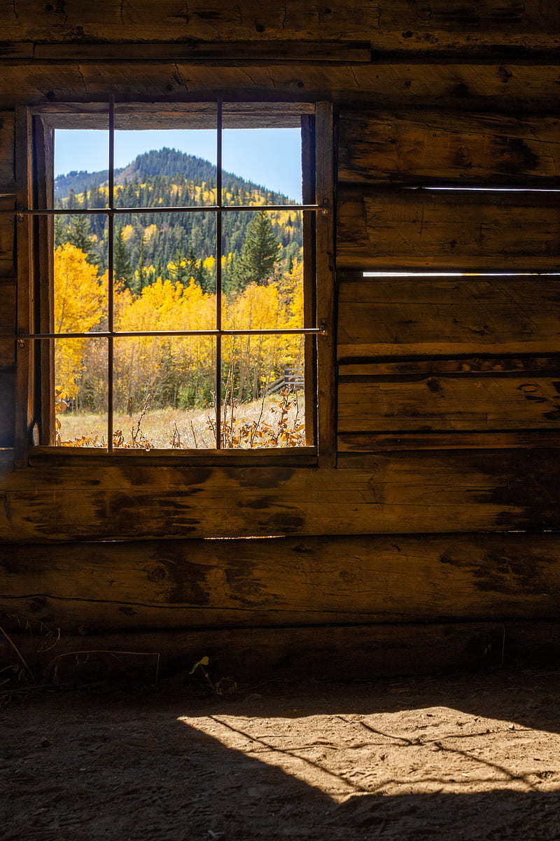 window, light, house, wooden, HD phone wallpaper