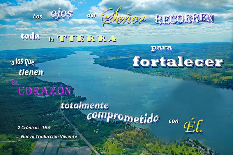 El Senor Fortalece, grass, Bible, banks, river, clouds, airplane view, HD wallpaper