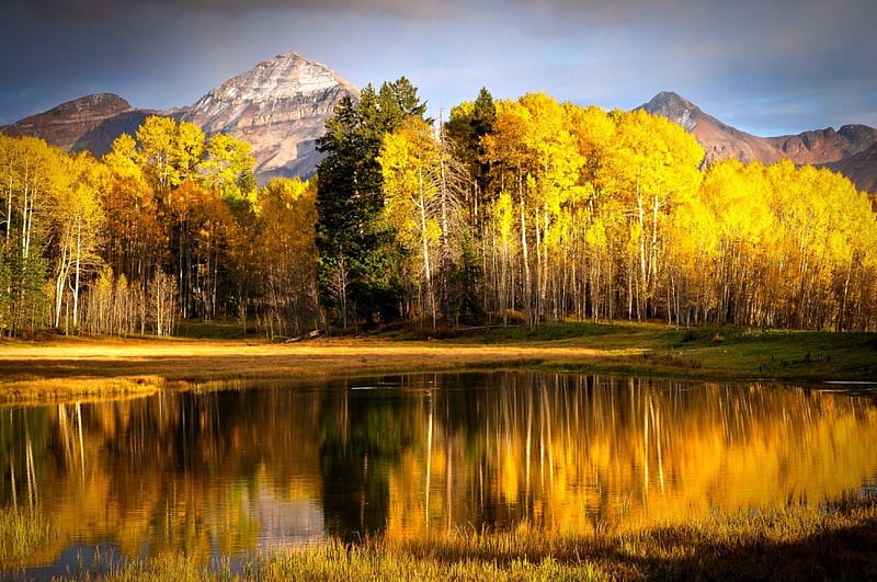 Beef Basin Pond, Utah, mountain, autumn, aspen, grass, golden, bonito, reflection, trees, HD wallpaper