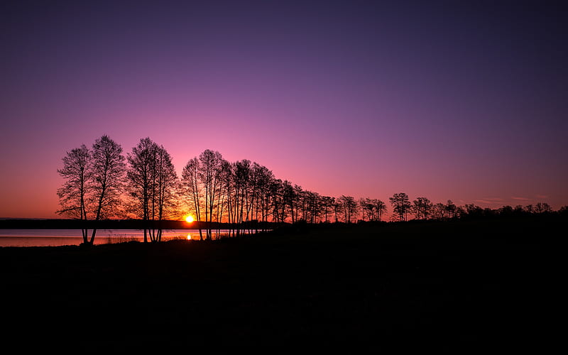 Sunset, sunset, nature, HD wallpaper
