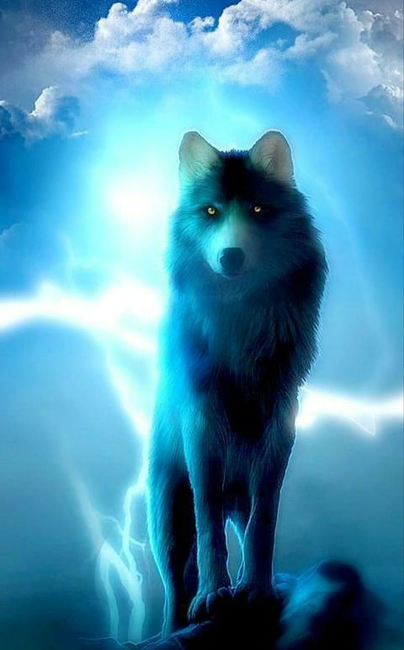 Loup, blue, moon, nature, nuage, sombre, white, wolf, HD phone ...