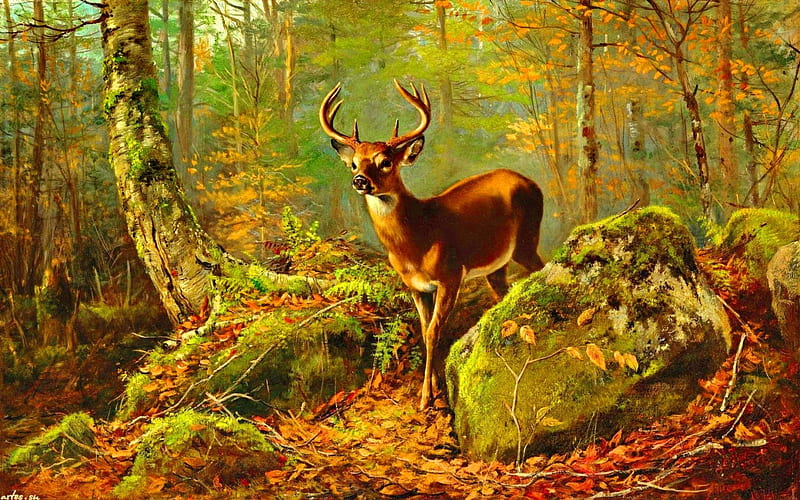 Autumn deer, forest, fall, art, autumn, calmness, bonito, foliage, deer