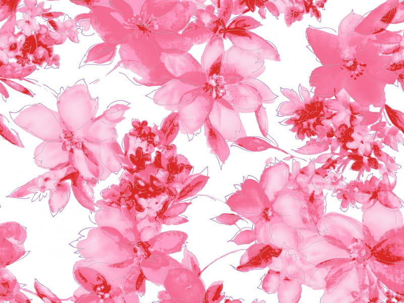 Flores de color rosa cálido, flores de color rosa, abstracto, Fondo de  pantalla HD | Peakpx