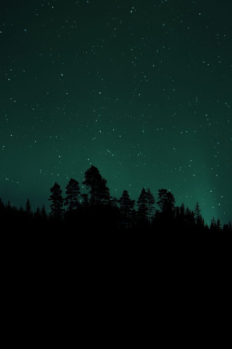 NightTime, aurora, borealis, cosmos, dark, night, stars, trees, universe, HD phone wallpaper