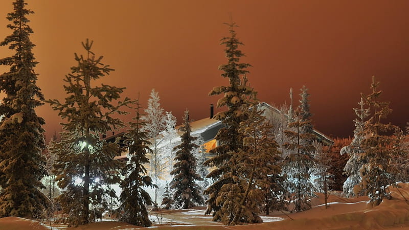 forest lodge in a brown world, forest, lodge, brown sky, lights, winter, HD wallpaper