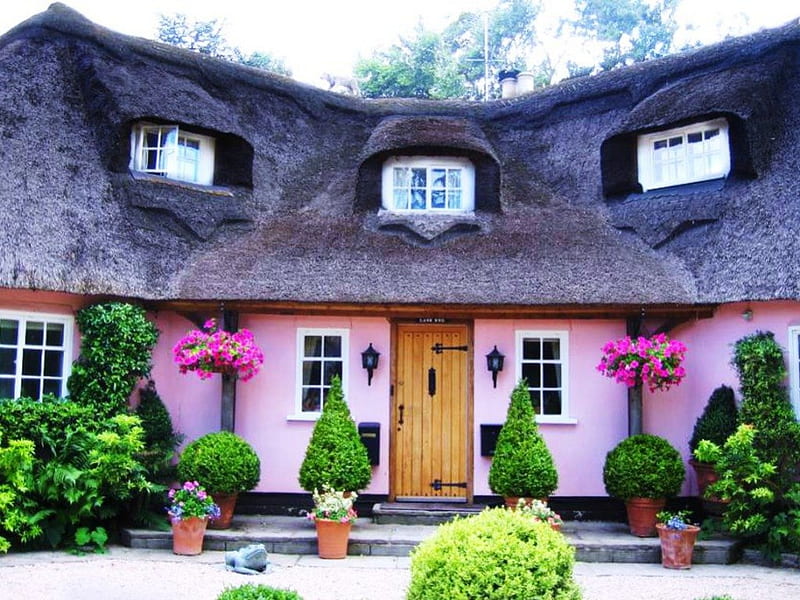 Lovely Pink Cottage, house, roof, cottage, english, england, thatched, pink, HD wallpaper
