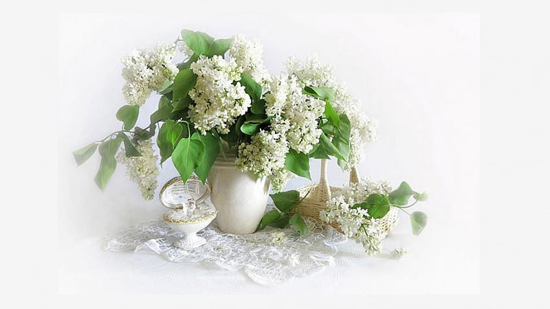Lilacs, blackground, tenderness, vase, flover, HD wallpaper