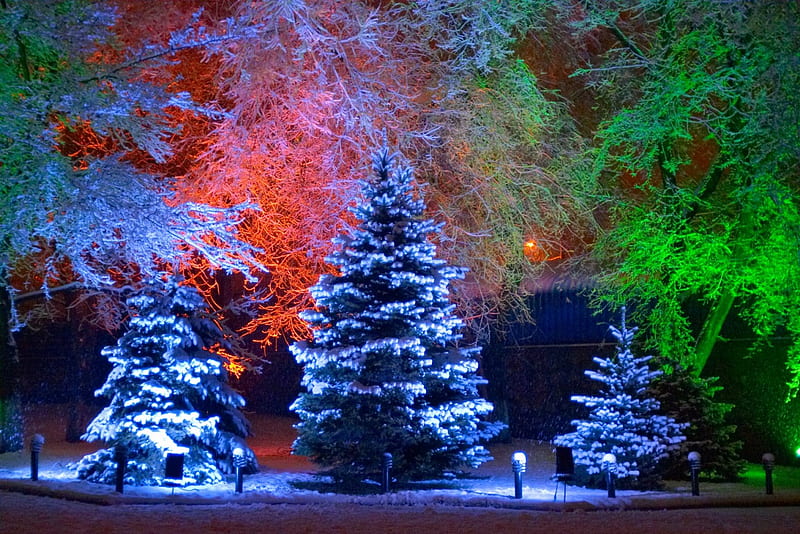 Magic Christmas Trees, colorful, snowing, snow, lamps, decorations, trees, lights, winter, HD wallpaper