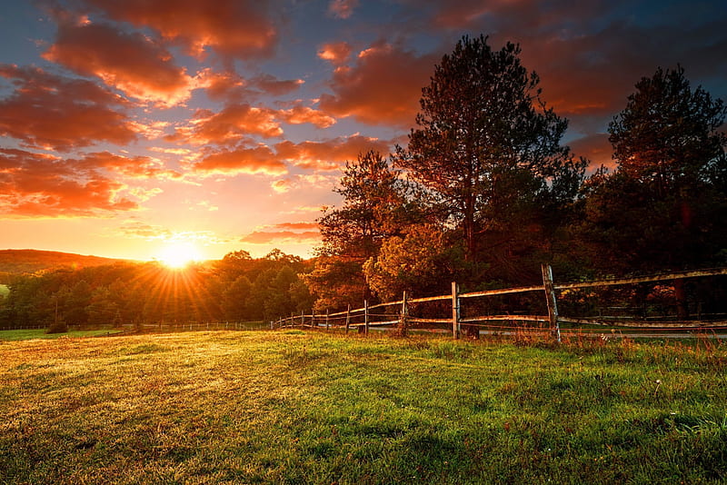 Sunset, red, fence, amazing, grass, bonito, sky, clouds, summer, road ...