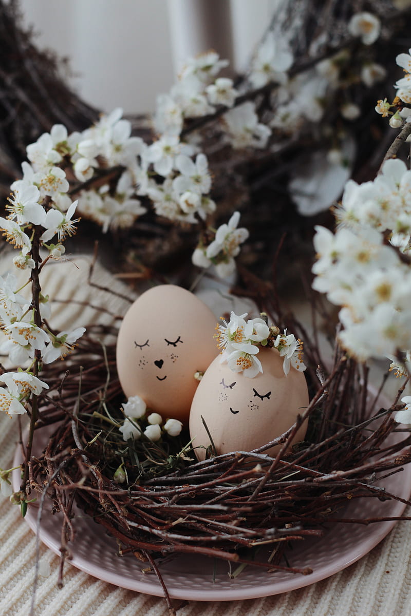 Fresh eggs with smiling faces in nest placed on table with flowers for Easter celebration, HD phone wallpaper