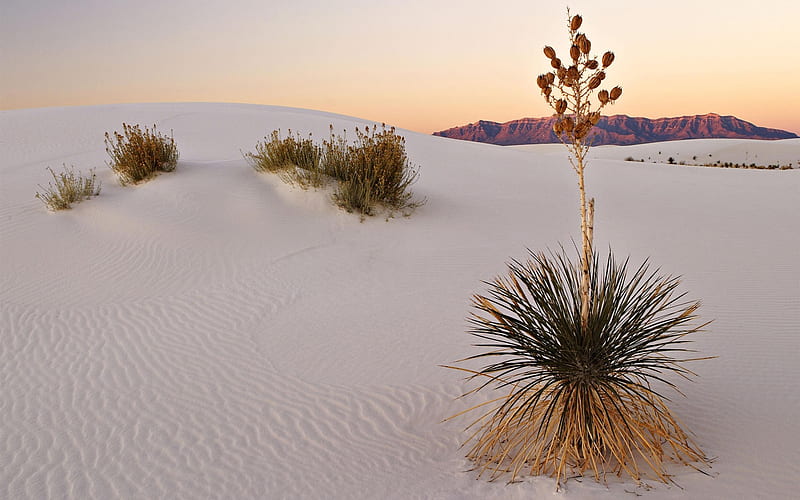 white sand desert-Amazing desert scenery, HD wallpaper