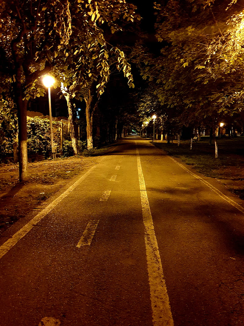 A walk through dark, alone, autumn, lights, nature, night, park, road ...