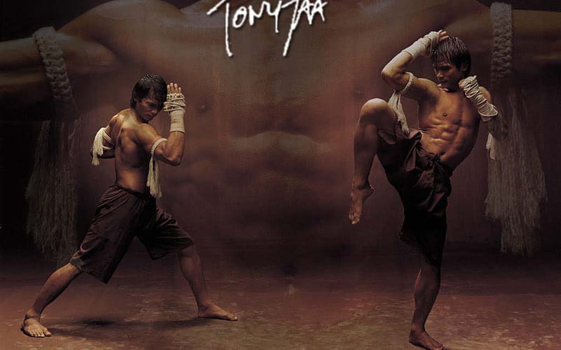 Muay Thai, art, martial, 17, 2011, 10, HD wallpaper