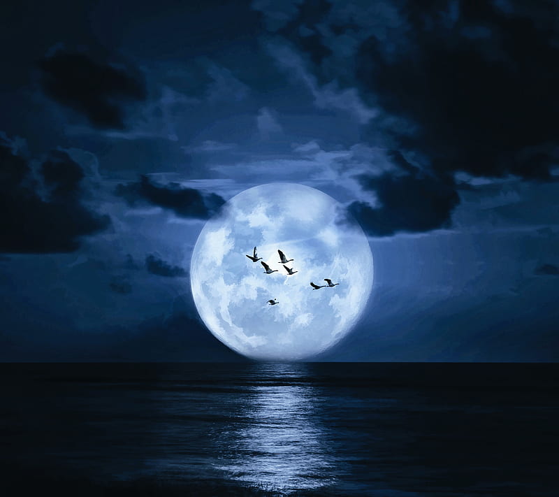 Full Moon, lunar, ocean, sea, water, HD wallpaper
