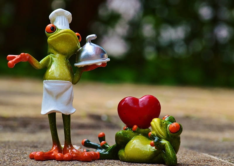 Love comes from the heart, but passes through the stomach, frogs, red, green, heart, cook, valentine, couple, figurine, HD wallpaper