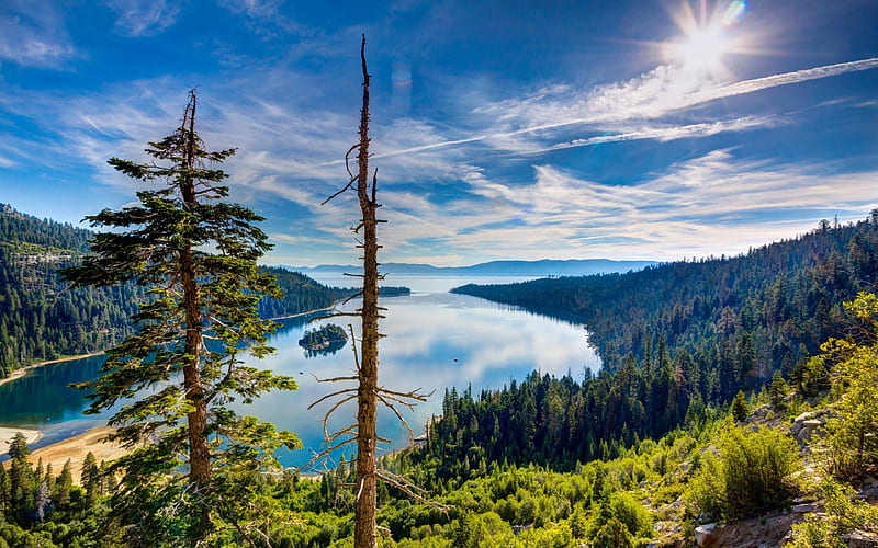 usa, landscape, forest, ca, hills, lake, lake tahoe, HD wallpaper