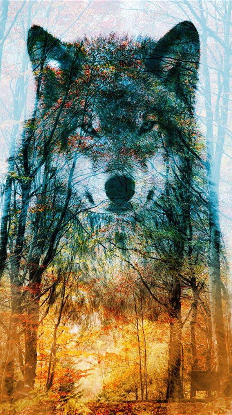 WOLF AND TREE, tree, wolf, yellow, HD phone wallpaper