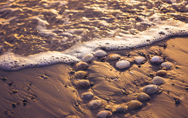 Heart on Sand, beach, sand, water, stones, heart, sea, HD wallpaper