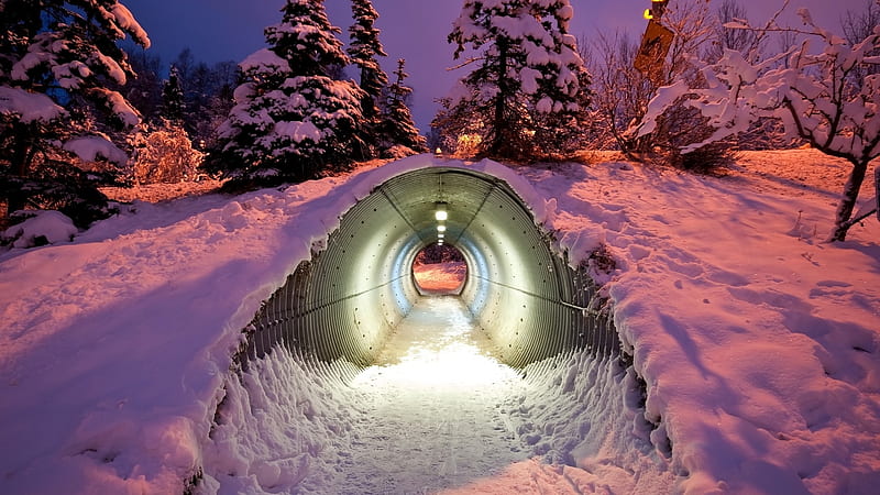 winter underpass, tree, snow, tunnel, underpass, winter, HD wallpaper