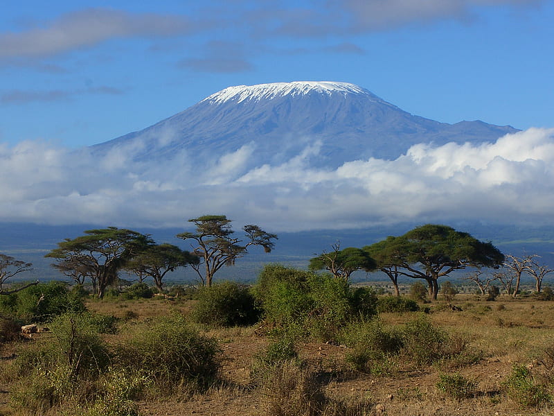 Mount Kilimanjaro, mountain, tanzania, kilimanjaro, africa, HD wallpaper