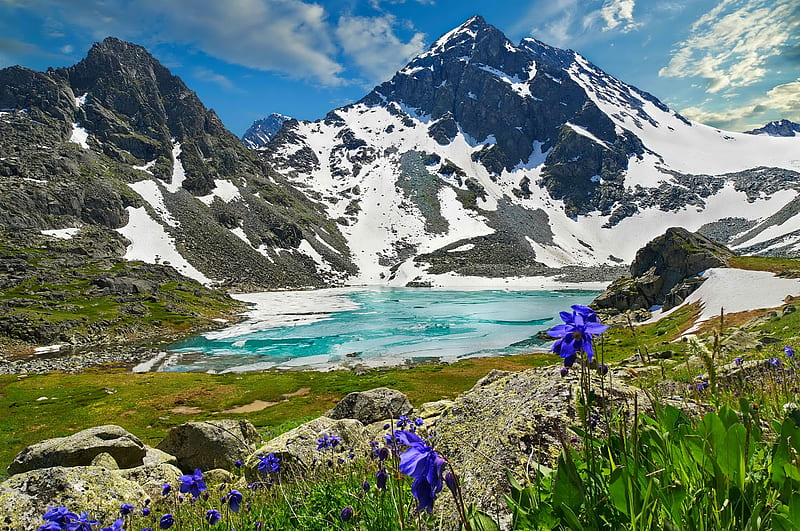 Beautiful summer landscape, rocks, hills, grass, bonito, lake, mountain, Russia, summer, Altai, flowers, HD wallpaper