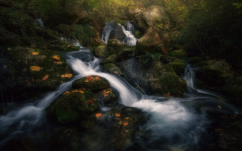 forest, waterfall, rocks, trees, stream, HD wallpaper